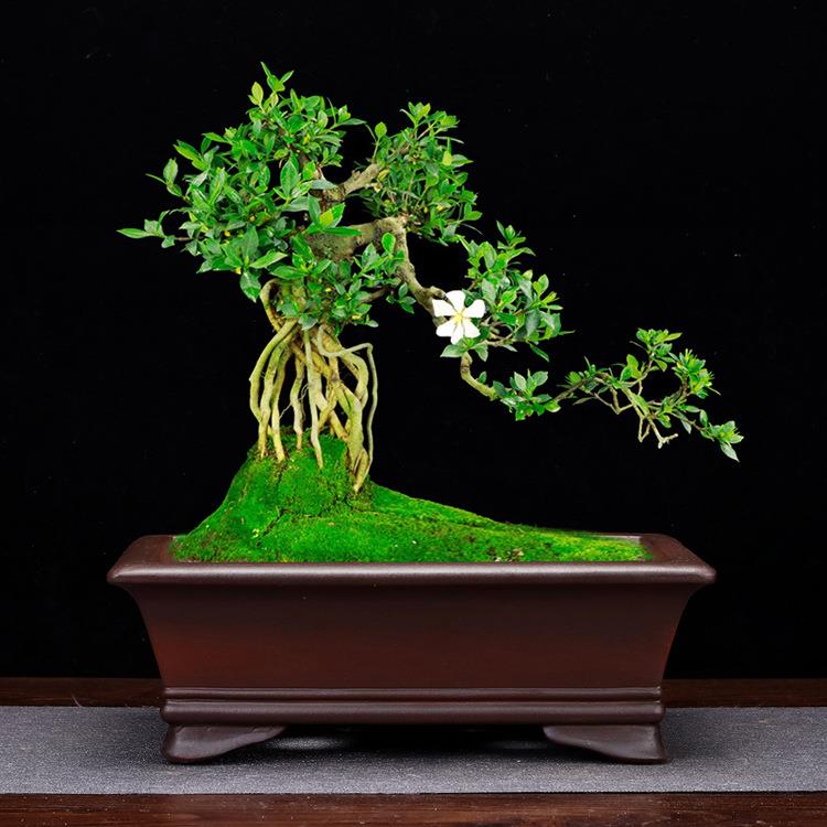 紫砂花盆马槽大号长方形家用精品陶瓷仿古假山造景榕树客厅盆景盆