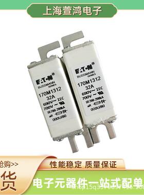 170M6021 170M6028 170M6029 170M6035原装 高压熔断器 熔断熔芯