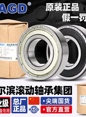 哈尔滨轴承型号大全6814 6815 6816 6817高速6818 6819电机6820RS