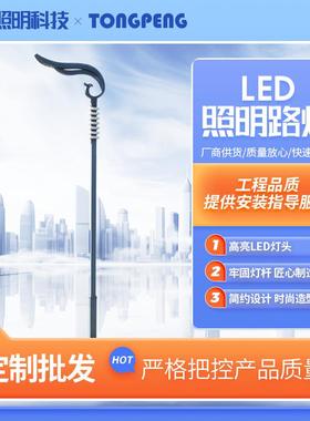 厂家LED市电路灯路灯杆5m6m单臂双臂LED路灯高亮度