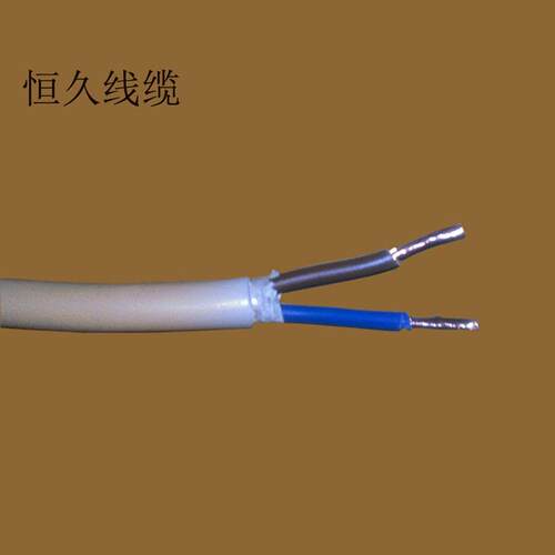 RVV2X1平方电缆线2芯1平方灯具电器电源线圆形软线纯铜线