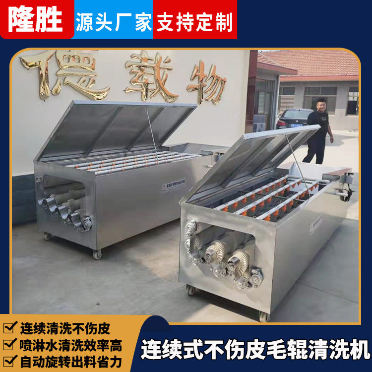 毛辊去杂清洗机 萝卜高压喷淋毛刷清洗机 新型连续不伤皮清洗机