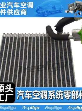 适用吉普Grand Cherokee汽车蒸发器5012697AA 5012697AB 501269