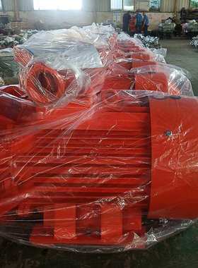 南洋防爆 YBFBX5复合防爆电机 粉尘气体双防爆 一级能耗