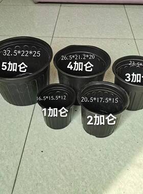 NuSun 柯基(中小型犬)成犬鸡肉燕麦专用粮 2.5KG软塑型黑色加仑盆