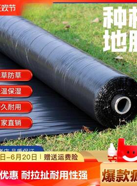 农用加厚大棚保温保湿黑色地膜种植除草防虫膜新料草莓专用膜米