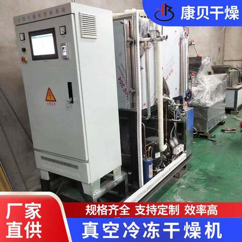 水果草冻干干设备 羊腿真空冻干机 果康贝干燥红参真空冷冻莓燥机