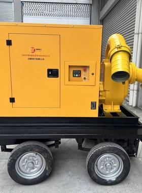 300方柴油水泵车SW300CCY大流量移动式排水泵车排水排涝双管四管