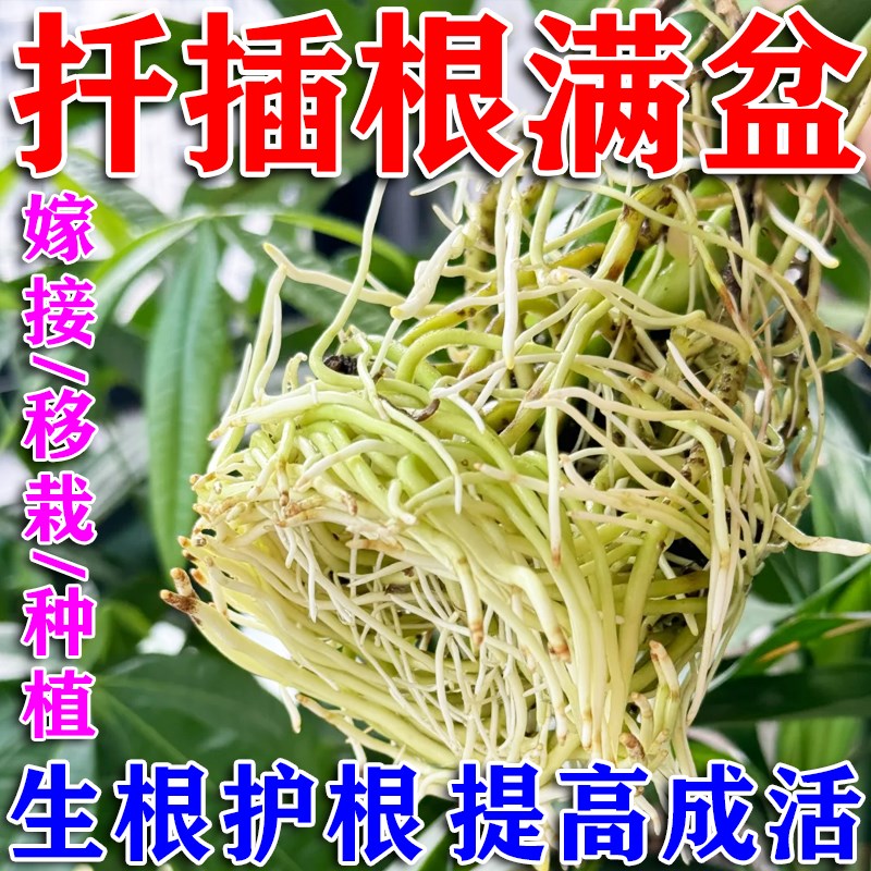 扦插专用生根液强力生根粉多灵菌月季玫瑰植物通用营养液复活剂