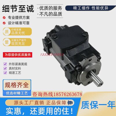 艾伯特ALBERT油泵T6EC50-20-2R00-C1 原厂 现货 速发 大量库存