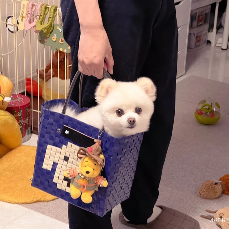 新款彩色格子编织菜篮子女包休闲