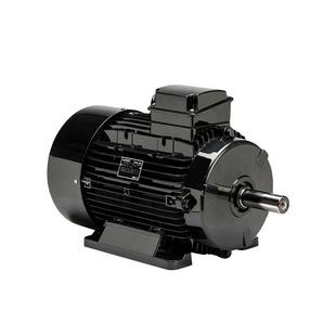 巴西WEG拉斐特LAFERT拉莫斯LAMMERSHOyER霍尔三相异步交流电动机