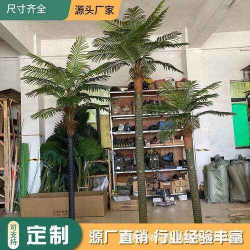 仿真椰子树塑胶杆美丽针葵椰子树室内外大型仿真绿植造景装饰批