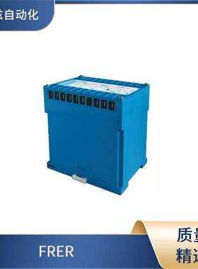 FRER 电流表 ZF96MAX020X60 品质可靠 A14EAX250X05