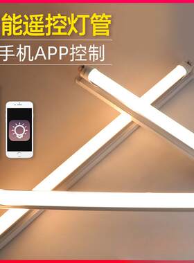 智能灯管无极调光遥控t5一体t8分体三色日光灯长条家用led电灯棒
