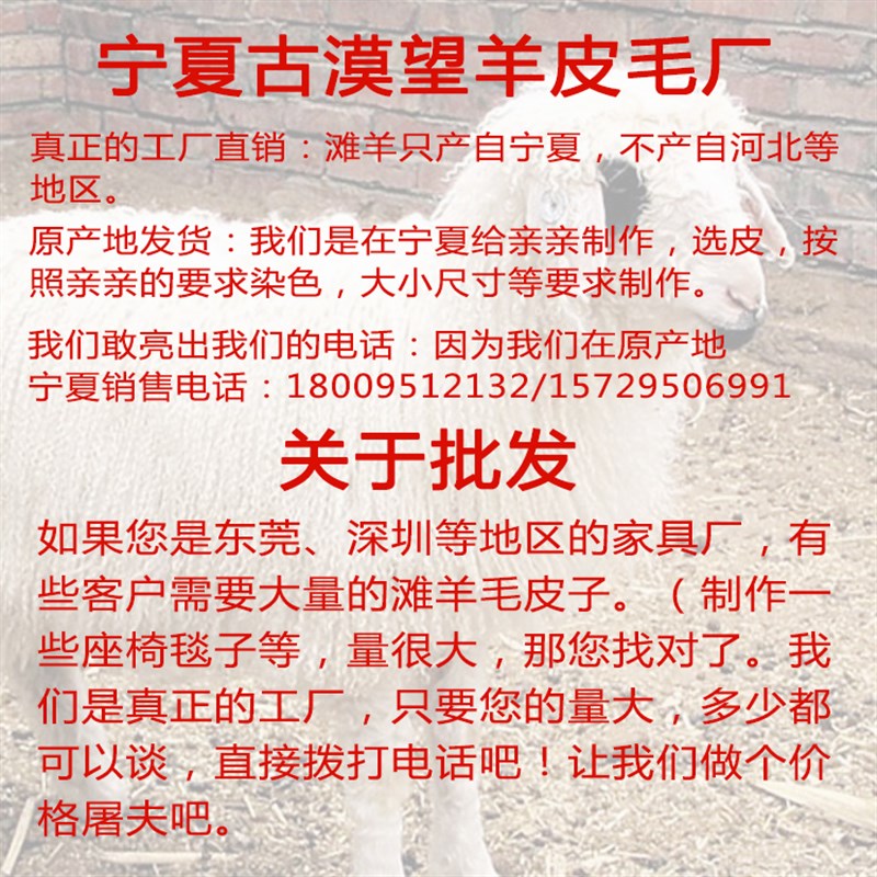 整张滩羊皮滩羊毛二毛皮椅垫坐垫沙发垫飘窗欧式地毯卧室床边毯子