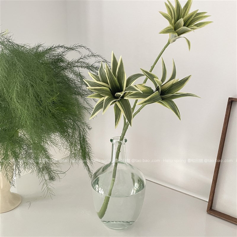 大肚吊钟透明玻璃花瓶ins桌面插花水培花器大号客厅绿植落地摆件