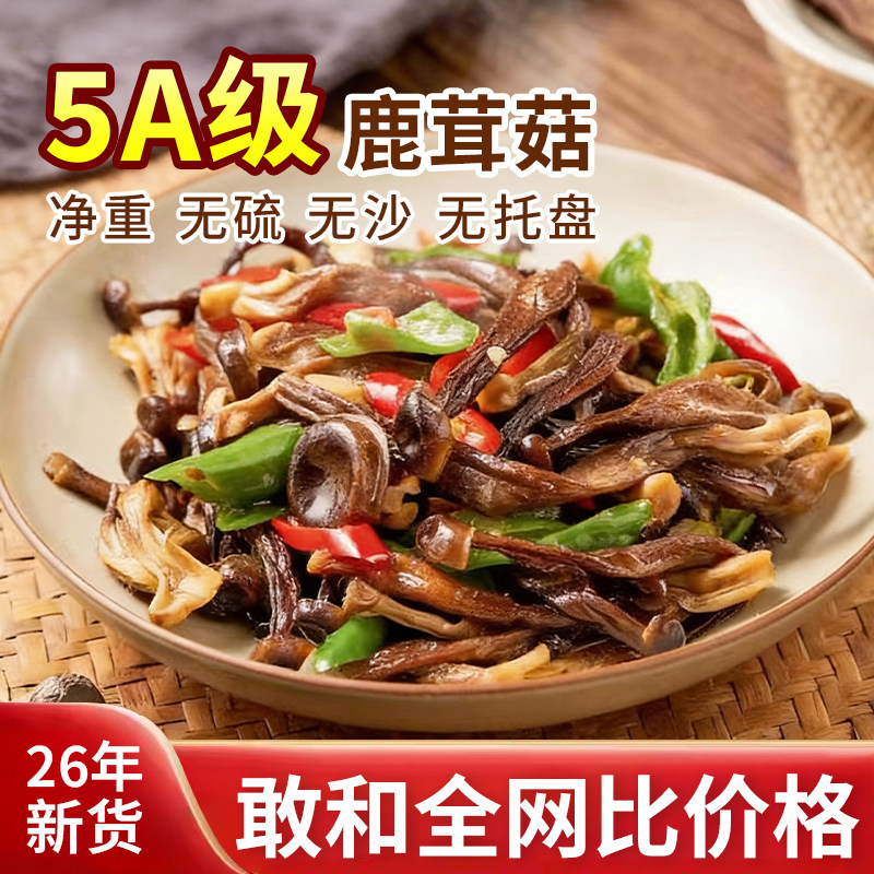 鹿茸菇干货特产级500g云南营养菌菇类干蘑菇鹿茸菌山珍净重包邮