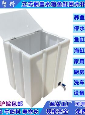 立式翻盖水箱方形家用养鱼洗车塑料蓄水桶厨房储水罐卫生间困水缸