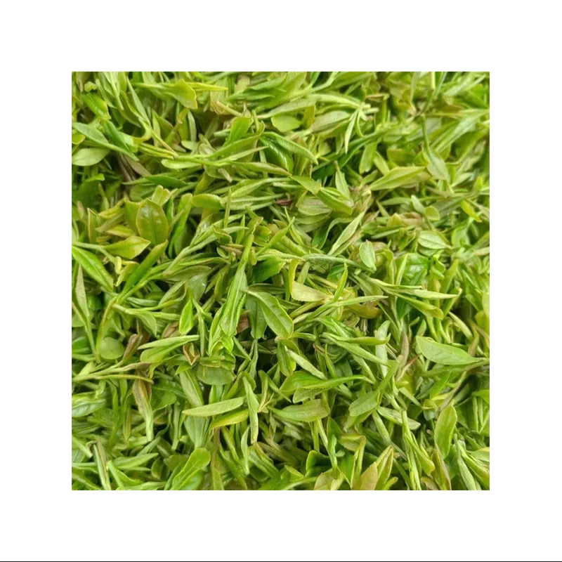 2026日照绿茶自家茶园新春茶叶板栗香绿茶500g高山云雾耐泡散装茶