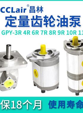 GPY-3R4R5.8R7R9R10R11.5高压KIP齿轮泵K1P1/2/3/4/6/7/9/10R11A