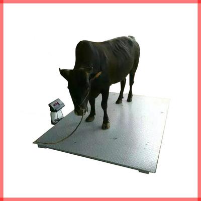 DCS电子地磅称车间内部重量控制3吨数显电子平台地磅称2T小地磅