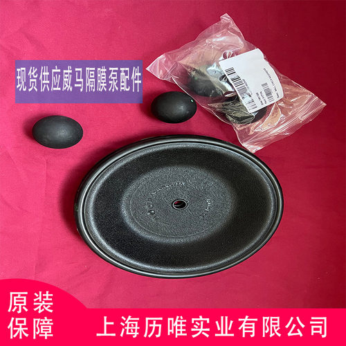 Versa-Matic威马气动隔膜泵E4AA1R119-B隔膜泵配件 库存充足