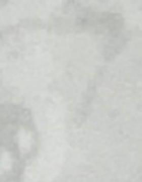 Formica富美家8957-58BubbleOrganic木纹装饰防火板耐火板