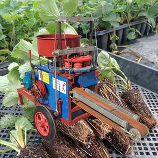 绿色蔬菜种植育苗压钵机植物育苗制钵机沉香杯苗袋装 土机