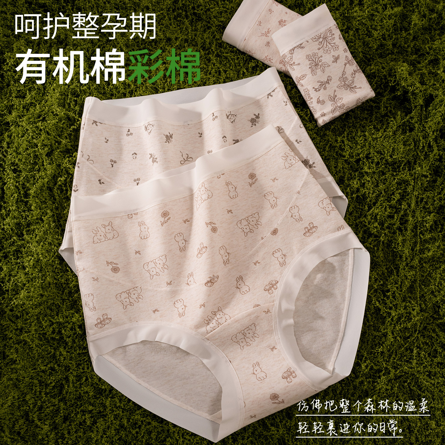 香蜜闺秀孕妇内裤女纯棉怀孕期专用抗菌全棉裆早中晚高腰托腹短裤