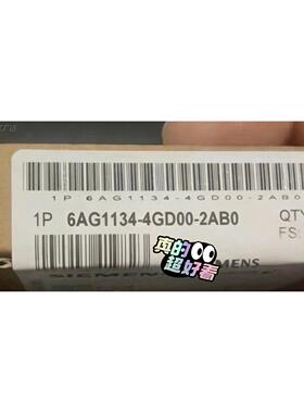6AG1134-4GD00-2AB0  6AG1 134-4-议价