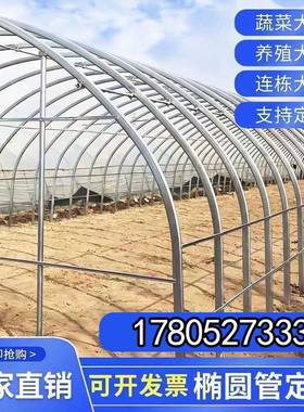 温室大棚骨架钢管全套支架拱杆养殖蔬菜大棚定制连体连栋棚椭圆管