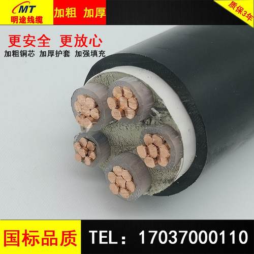 国标铜芯铠装电缆ZR-YJV22VV2/3/4/5芯10/16/25/35平方电力电源线