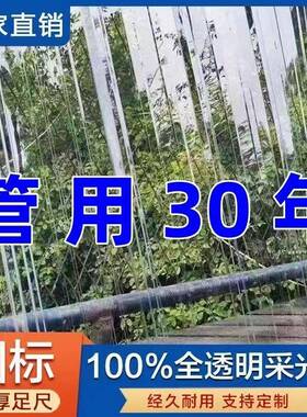 PC全透明阳光板耐力板雨棚屋檐阳光房玻璃亮瓦蔬菜大棚采光波浪瓦