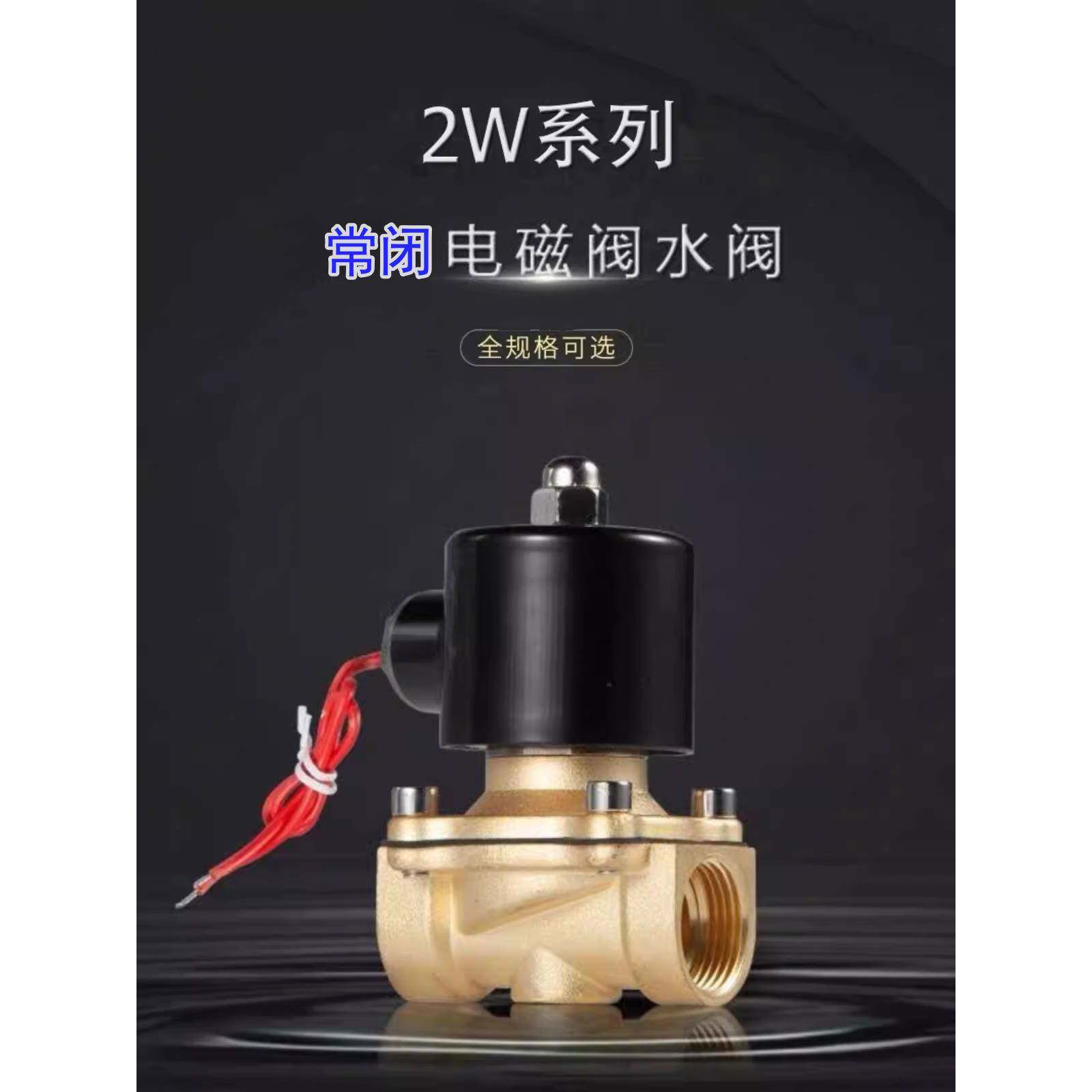 余姚BOPU博普电磁阀2W-160-15/220V两位两通常闭水阀25324050/24V