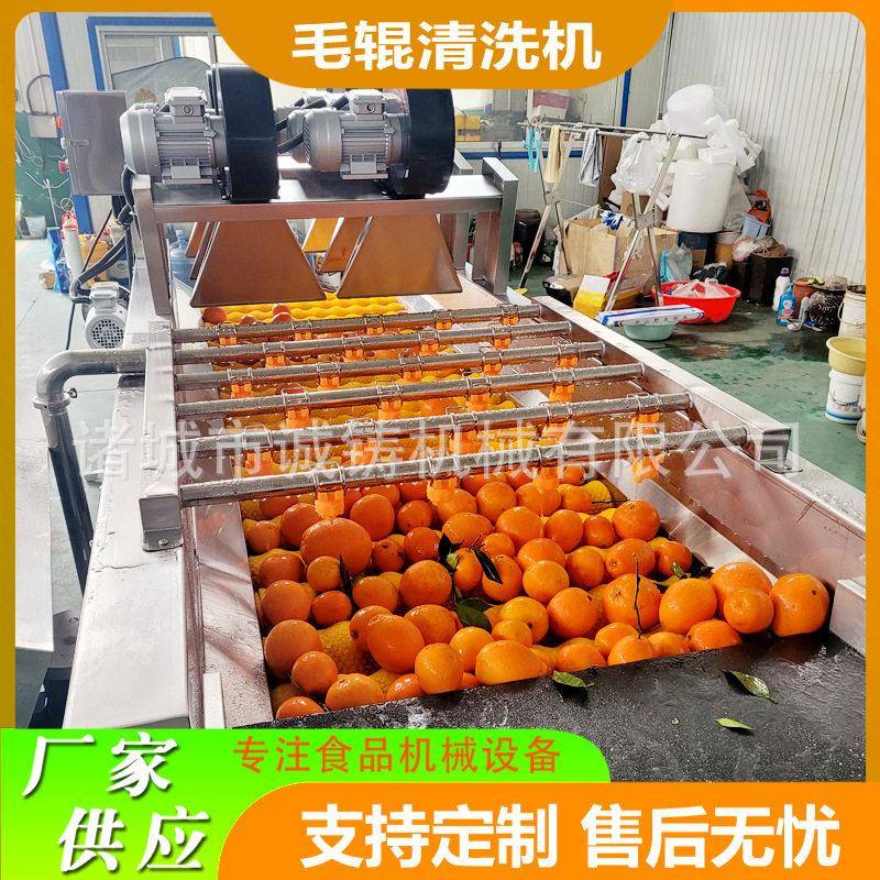 茂谷柑平行毛辊清洗机304不锈钢支持定制商用黄桃清洗加工设备
