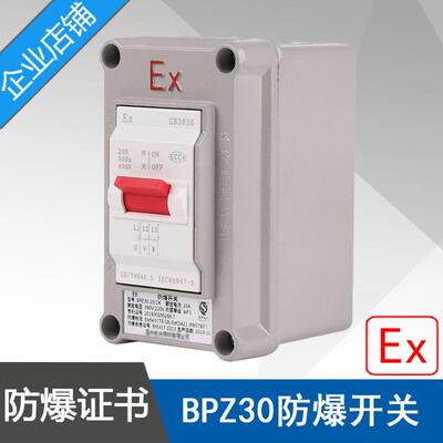 BPZ30-20/1一开开关ExdeIICT6电流20A电压220V380V螺纹DN25