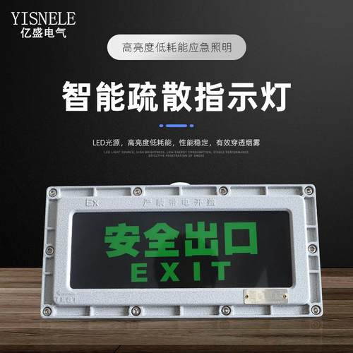 DC24-36V应急照明疏散指示灯安全出口应急疏散指示灯