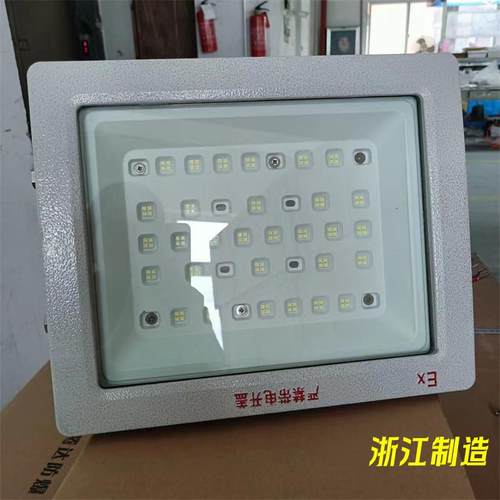 新款50-100w防爆工厂灯免维护隔爆照明灯led化工仓库灯车间照明灯