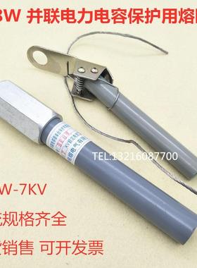 10KV高压熔断器BR8W-732A34A35A36A38A40A电容柜保护用保险丝管
