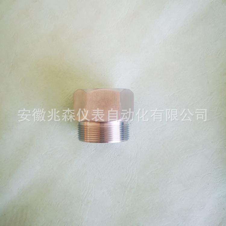 仪表变径接头M36X2-M35X1.5-M40X1.5-M42X2-1NPT-3/4NPT-M39X1.5