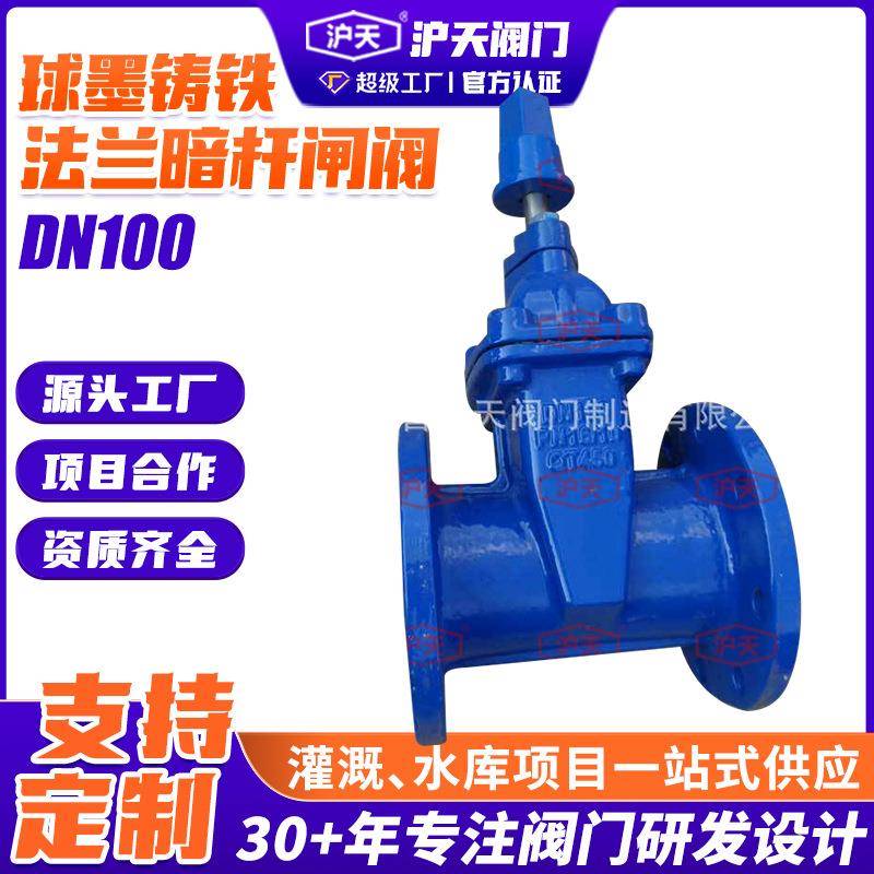 阀门球墨铸铁法兰暗杆闸阀RVCX地埋式软密封暗杆闸阀DN100