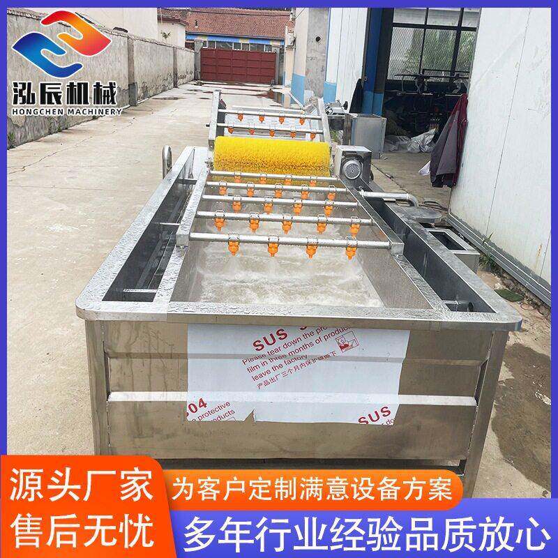 气泡消毒大麦苗清洗机 连续式刺槐花清洗机 樱桃李子用清洗机