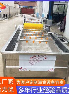 气泡消毒大麦苗清洗机 连续式刺槐花清洗机 樱桃李子用清洗机