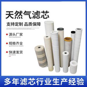 PECＯ天然气滤芯 燃气管道过 支持定制