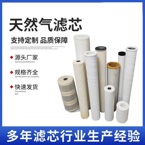 PECＯ天然气滤芯 燃气管道过 支持定制