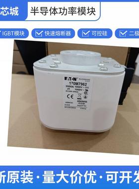 170M7962熔断器原厂出货皮损包退可开专票