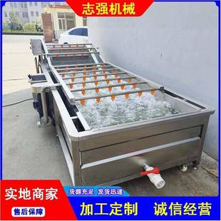 水果蔬菜清洗包装袋去污净菜加工流水线全自动葡萄干气泡清洗机厂