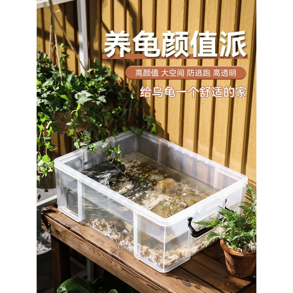 乌龟周转箱家用过滤造景塑料养龟缸透明生态箱亚克力生物养殖箱子