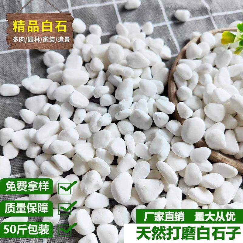 4-20cm白色鹅卵石子洗米石园林铺路水族造景用水磨石子